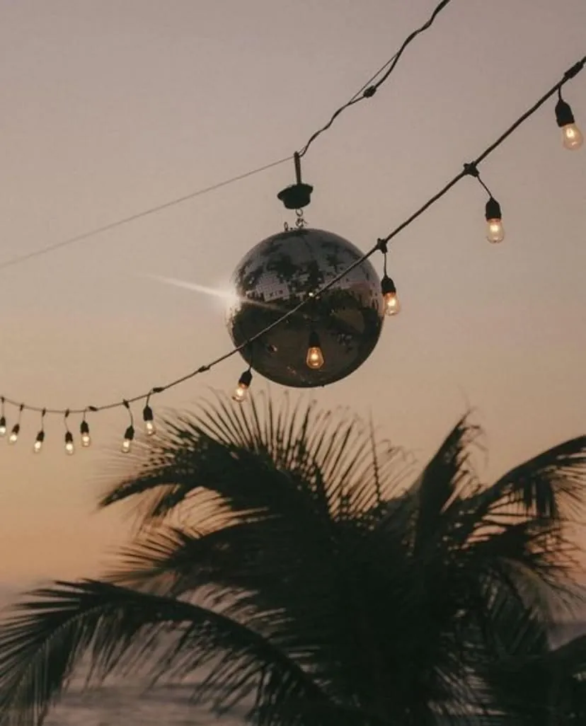 Mirror ball and festoon lights over palm trees at dusk